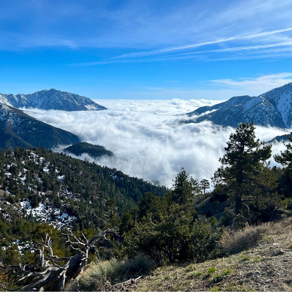 Meet your Posher, Holiday